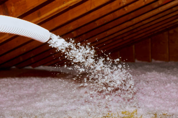 Best Best Insulation Companies  in Princeton Junction, NJ