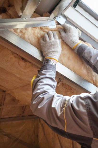 Best Crawl Space Insulation  in Princeton Junction, NJ