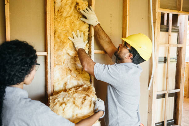Best Insulation Replacement Services  in Princeton Junction, NJ